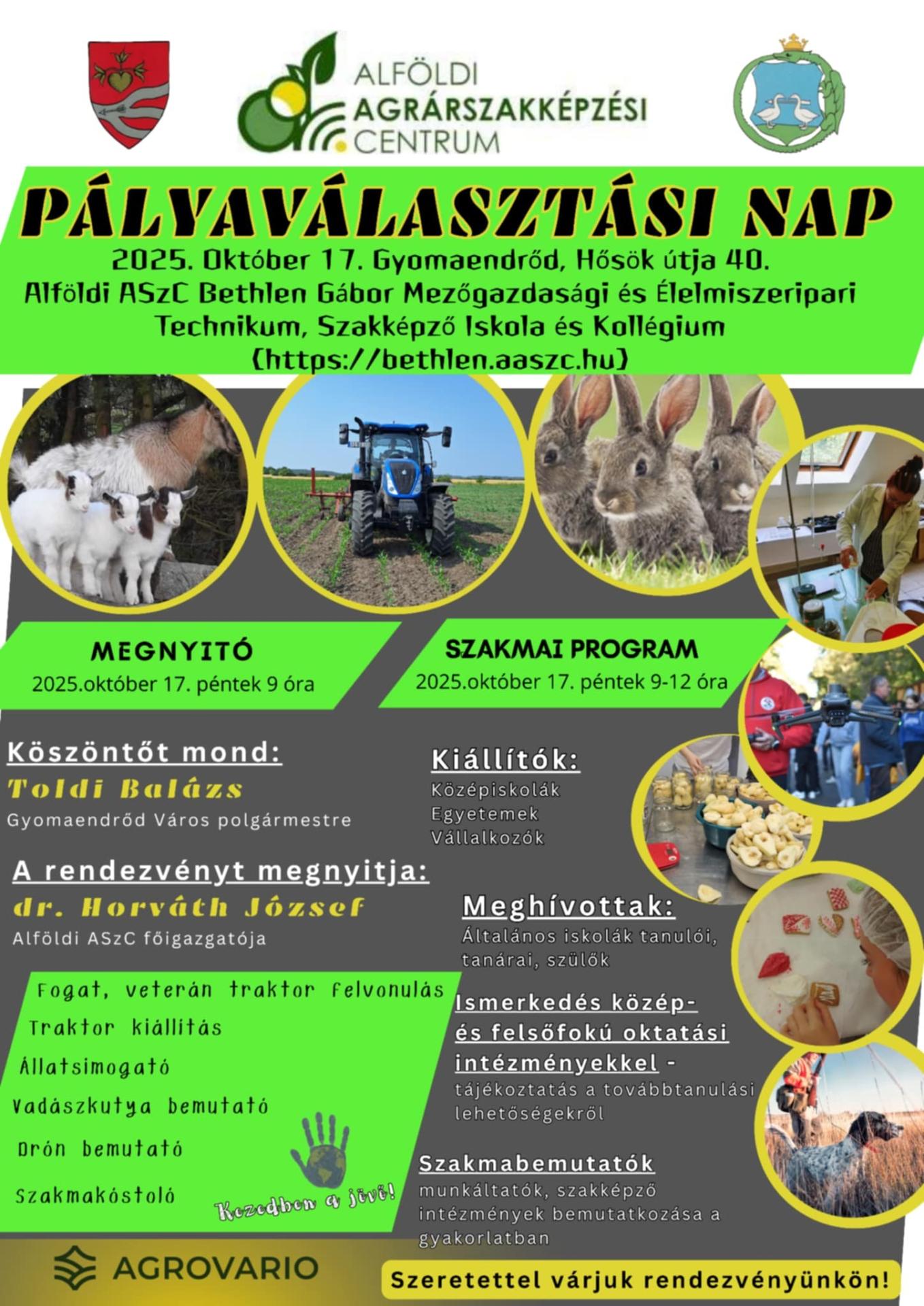 Pályaválasztási nap