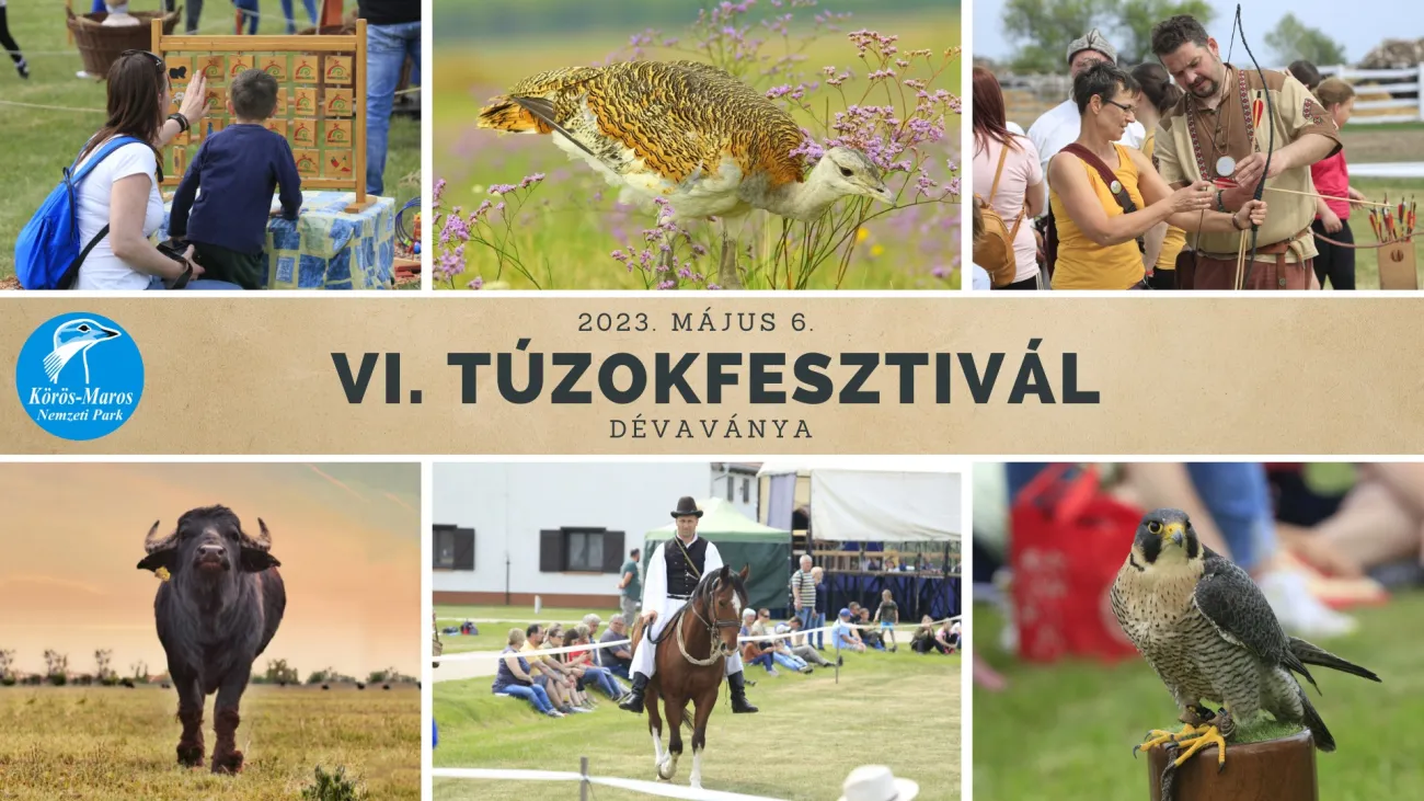 VI. Túzokfesztivál - Természetvédelmi nyílt nap