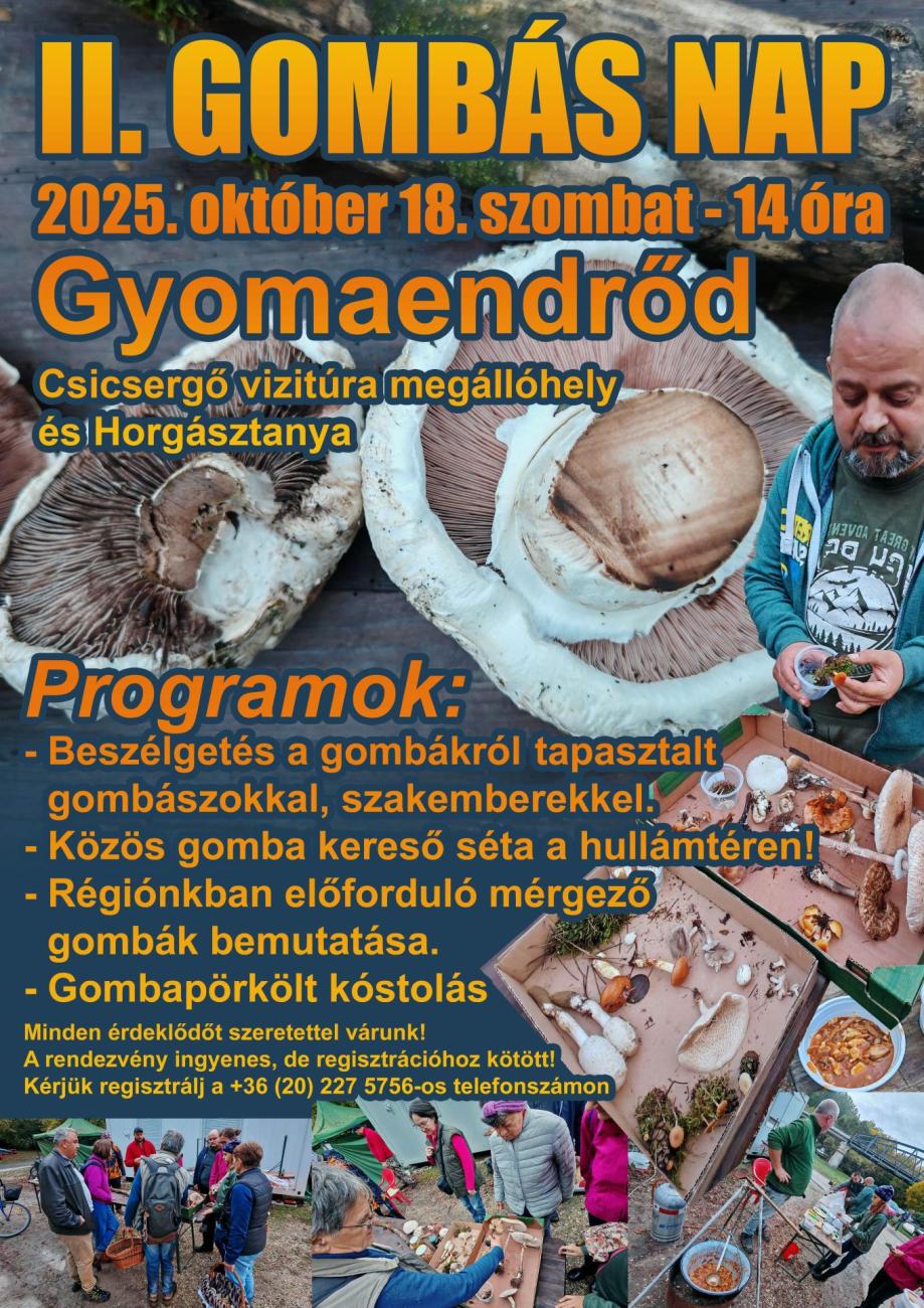 II. Gombás Nap a Csicsergőben