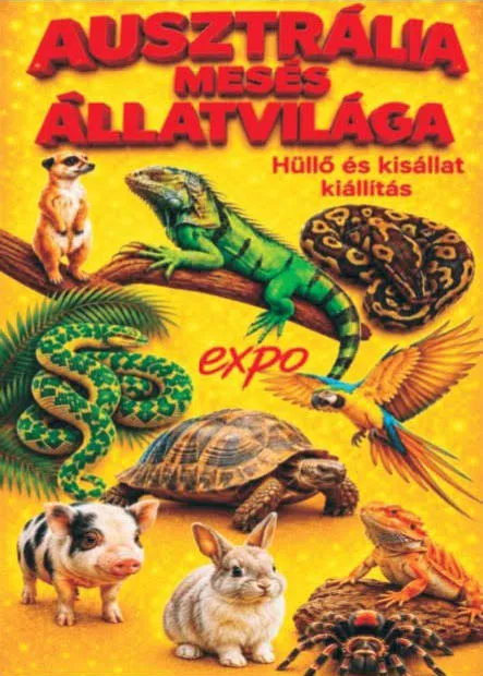 Hüllő és kisállat kiállítás - Ausztália Mesés Állatvilága