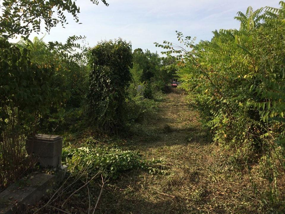 Evangélikus temető karbantartása halottak napjára