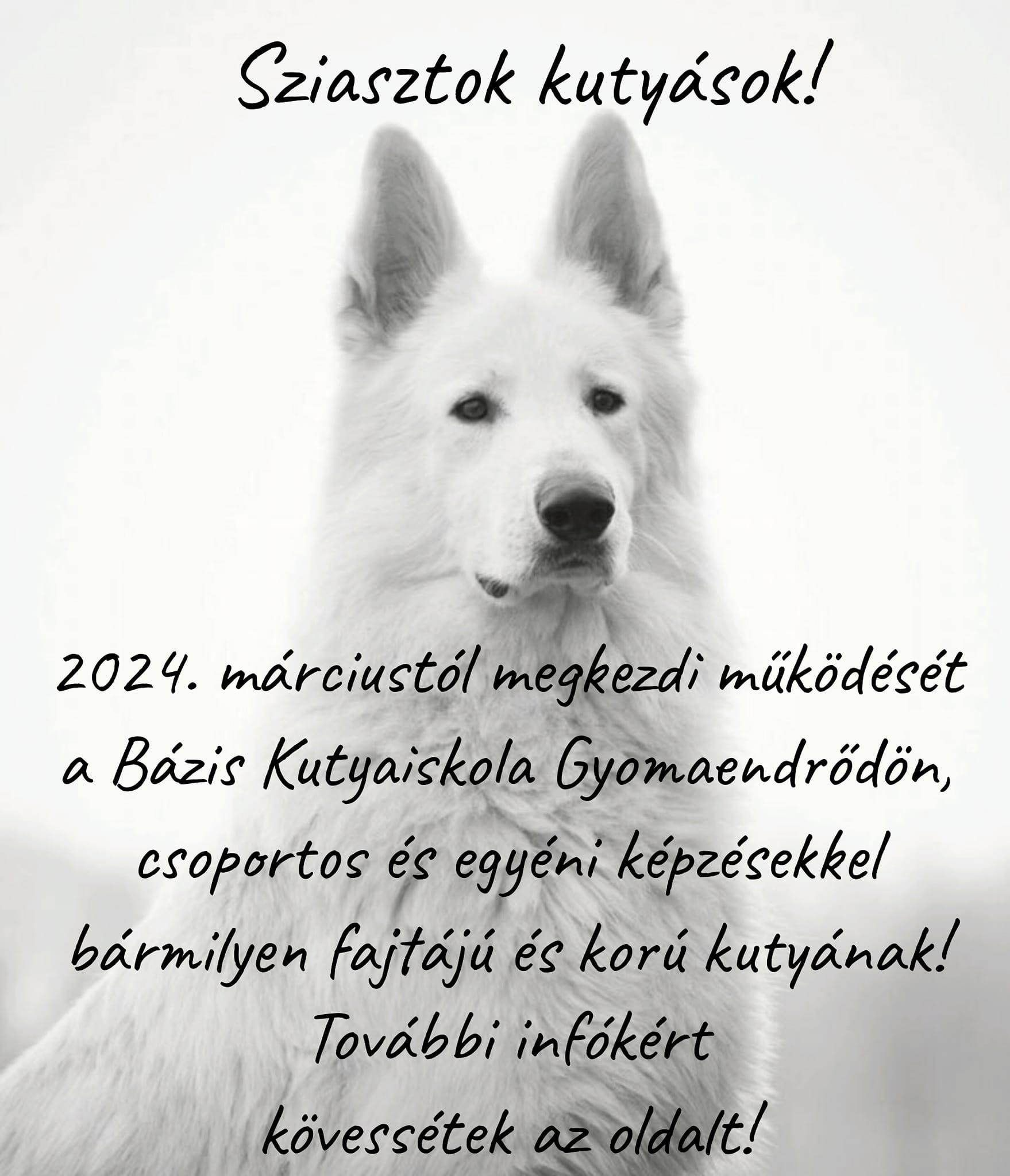 Bázis Kutyaiskola felhívása!
