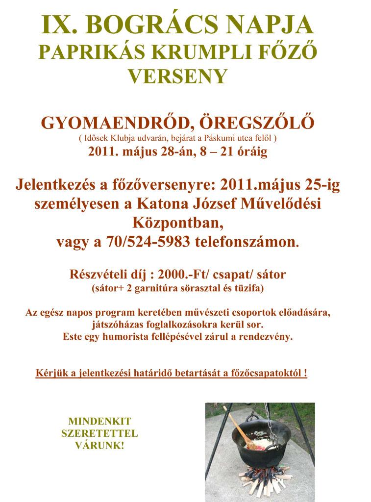 IX. "Bogrács (Cauldron) Day" Potato Paprikash Cooking Competition