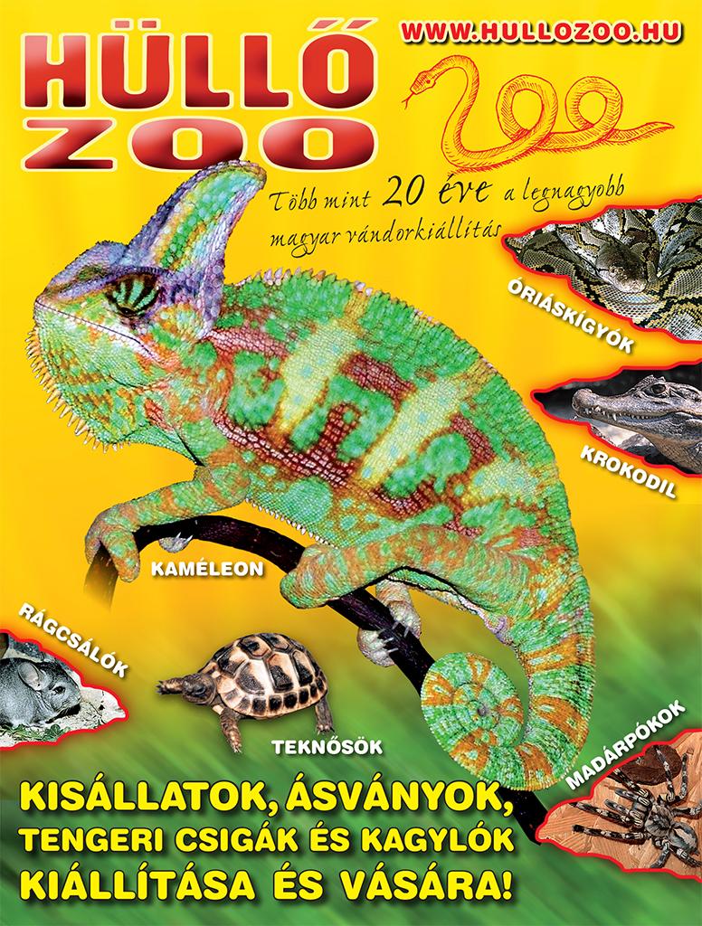 Hüllőkiállítás