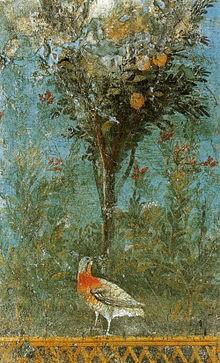 XI. Scientific Ethnographic Conference and Exhibition in Gyomaendrőd