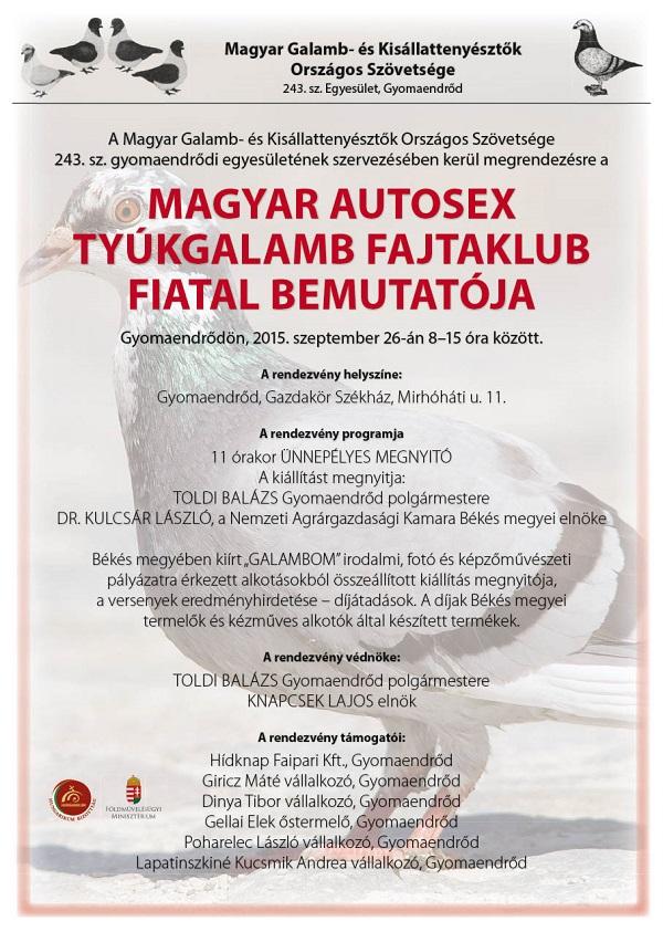 Magyar autosex tyúkgalamb Fajtaklub fiatal bemutatója