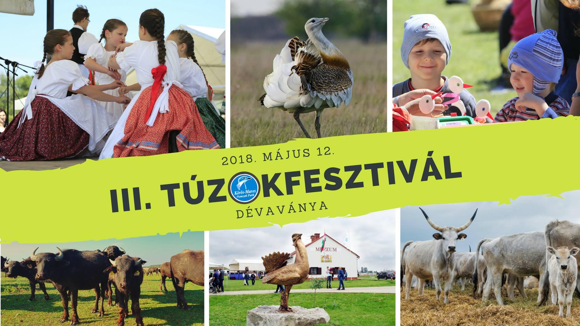 III. Túzokfesztivál - Természetvédelmi nyílt nap