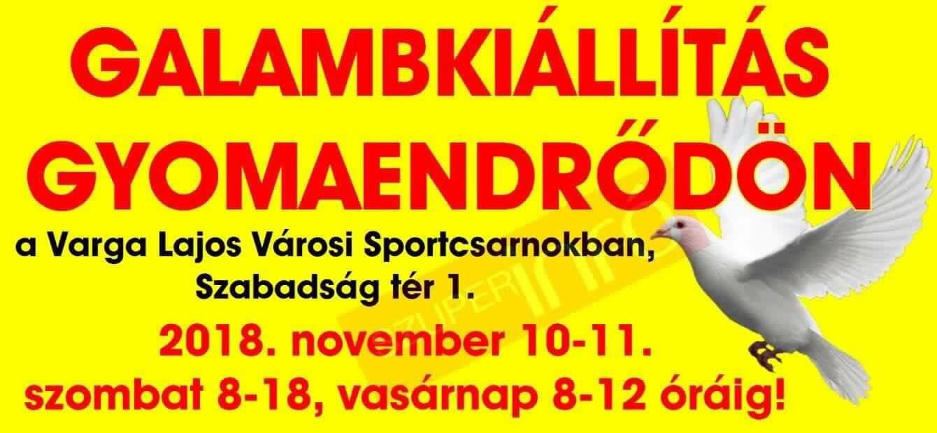 V-243. sz. Gyomaendrődi Galamb-és Kisállattenyésztők Egyesület kiállítása