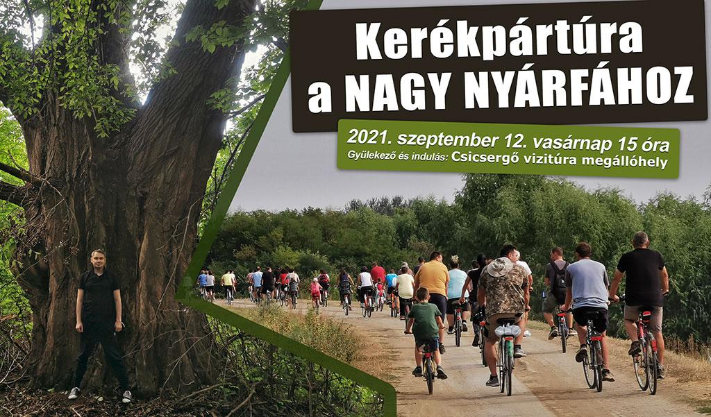 Kerékpártúra a nagy nyárfához