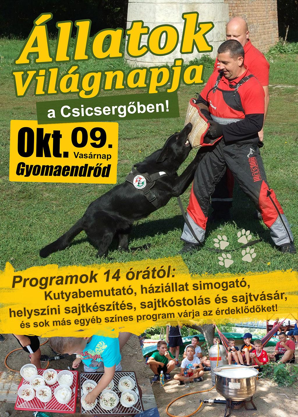 Állatok Világnapja a Csicsergőben!