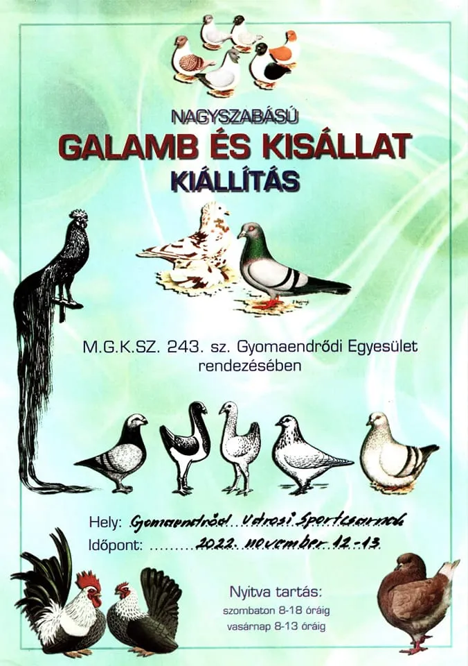Galamb és Kisállat kiállítás