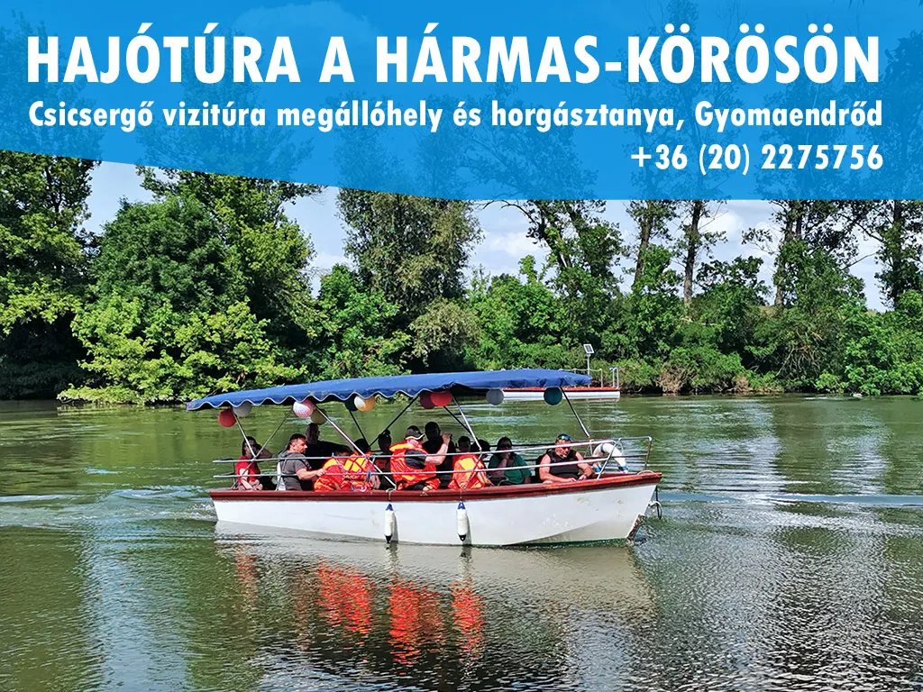 Alkonyati hajótúra