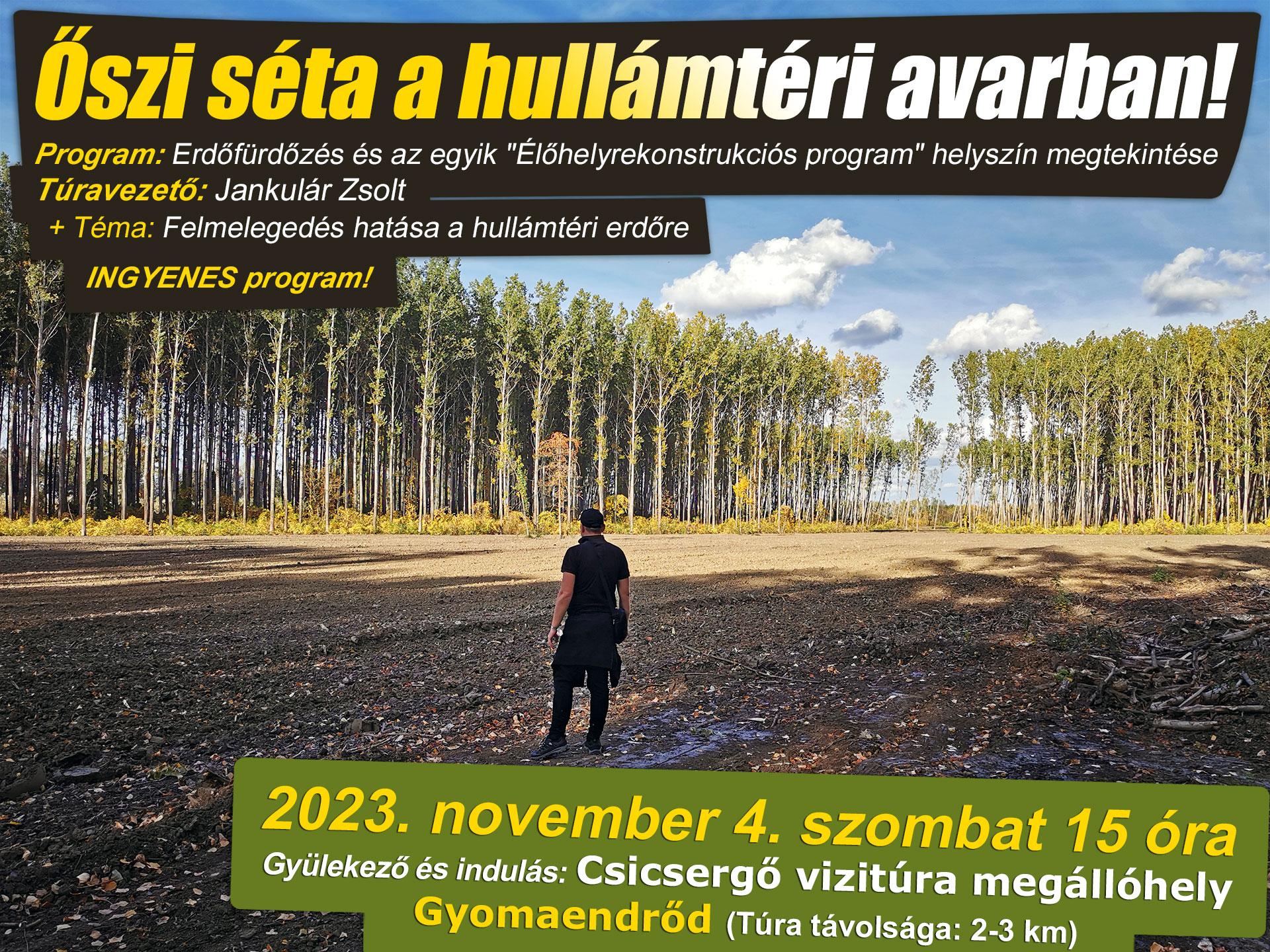 Őszi séta a hullámtéri avarban! Őszi séta a hullámtéri avarban!