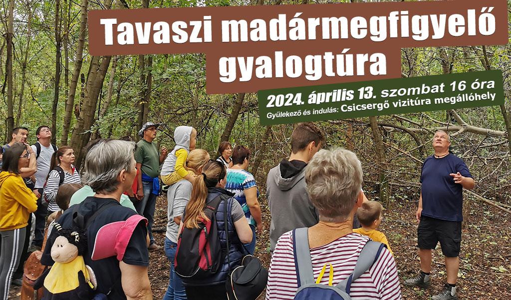 Tavaszi madármegfigyelő gyalogtúra