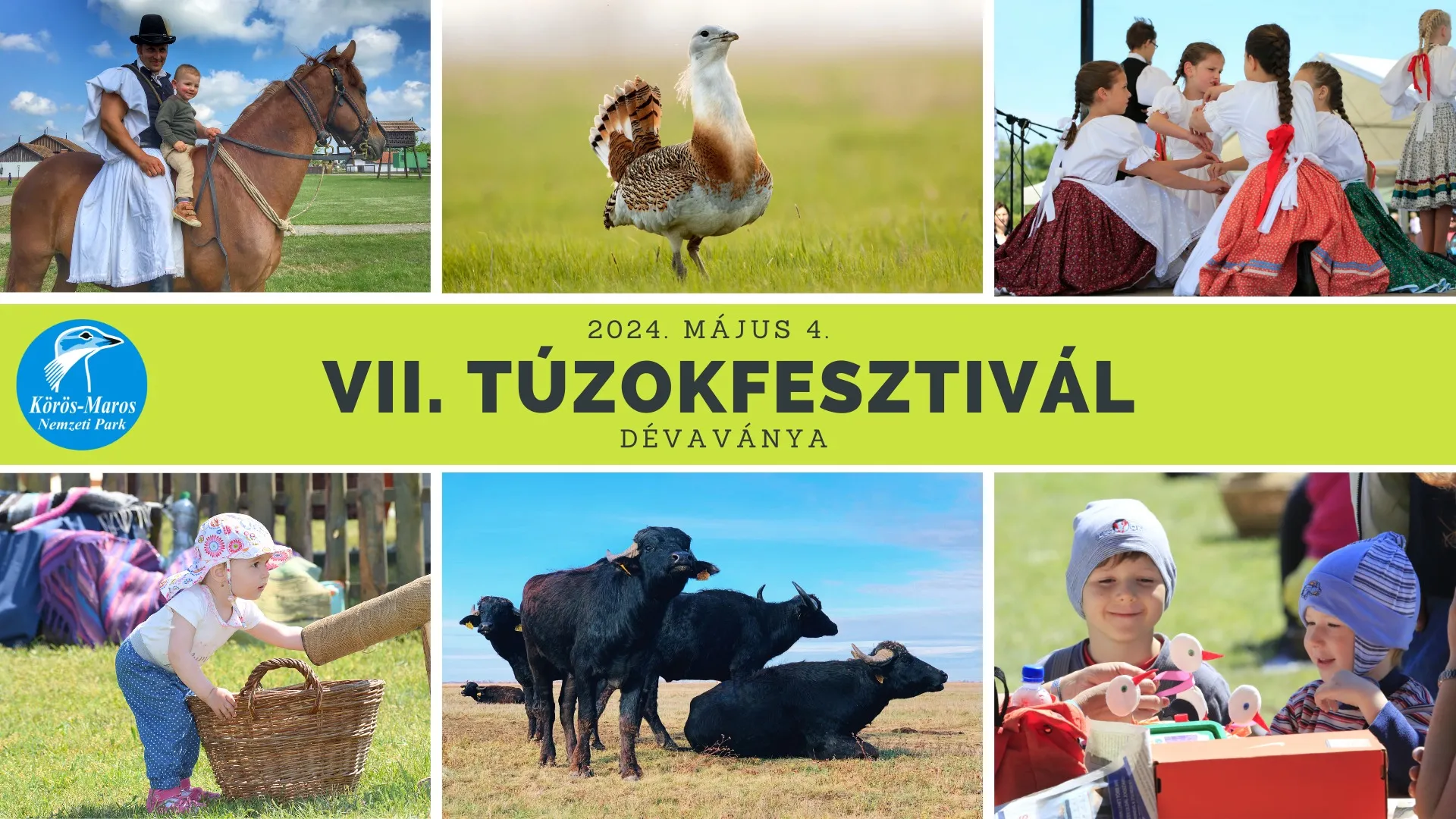 VII. Túzokfesztivál - Természetvédelmi nyílt nap