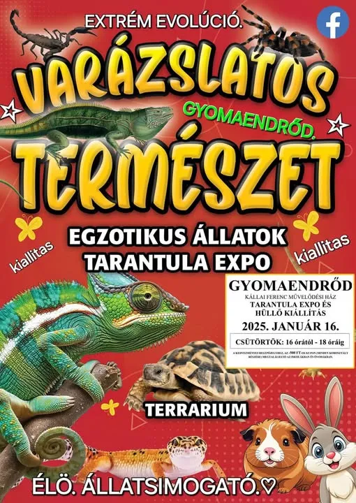 Varázslatos természet kisállat kiállítás
