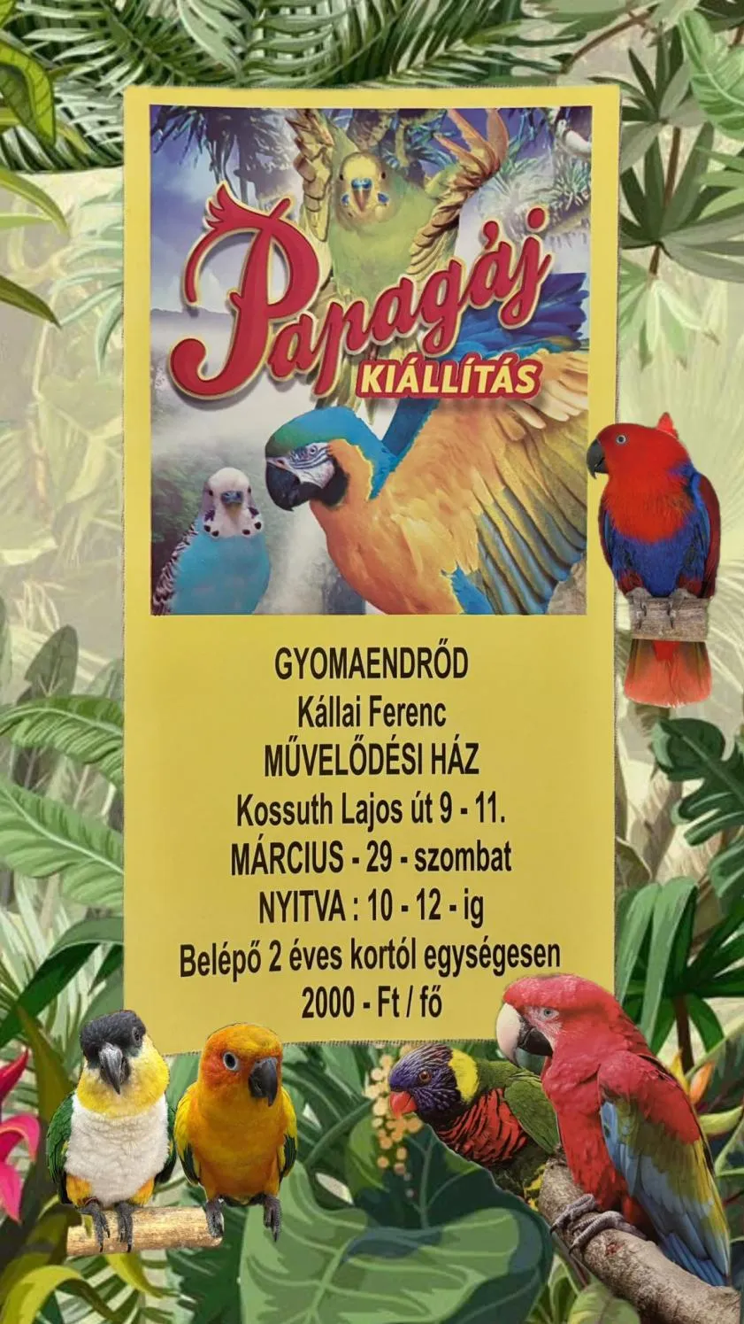 Papagáj kiállítás