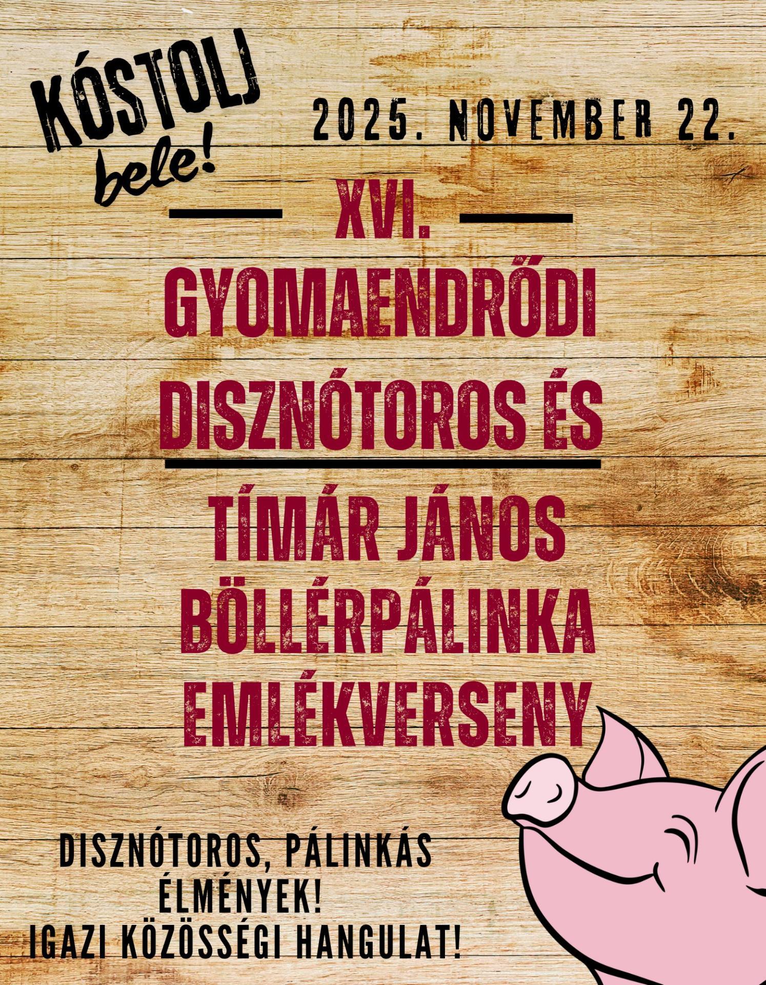 XVI. Gyomaendrődi Disznótoros és Tímár János Böllérpálinka Emlékverseny