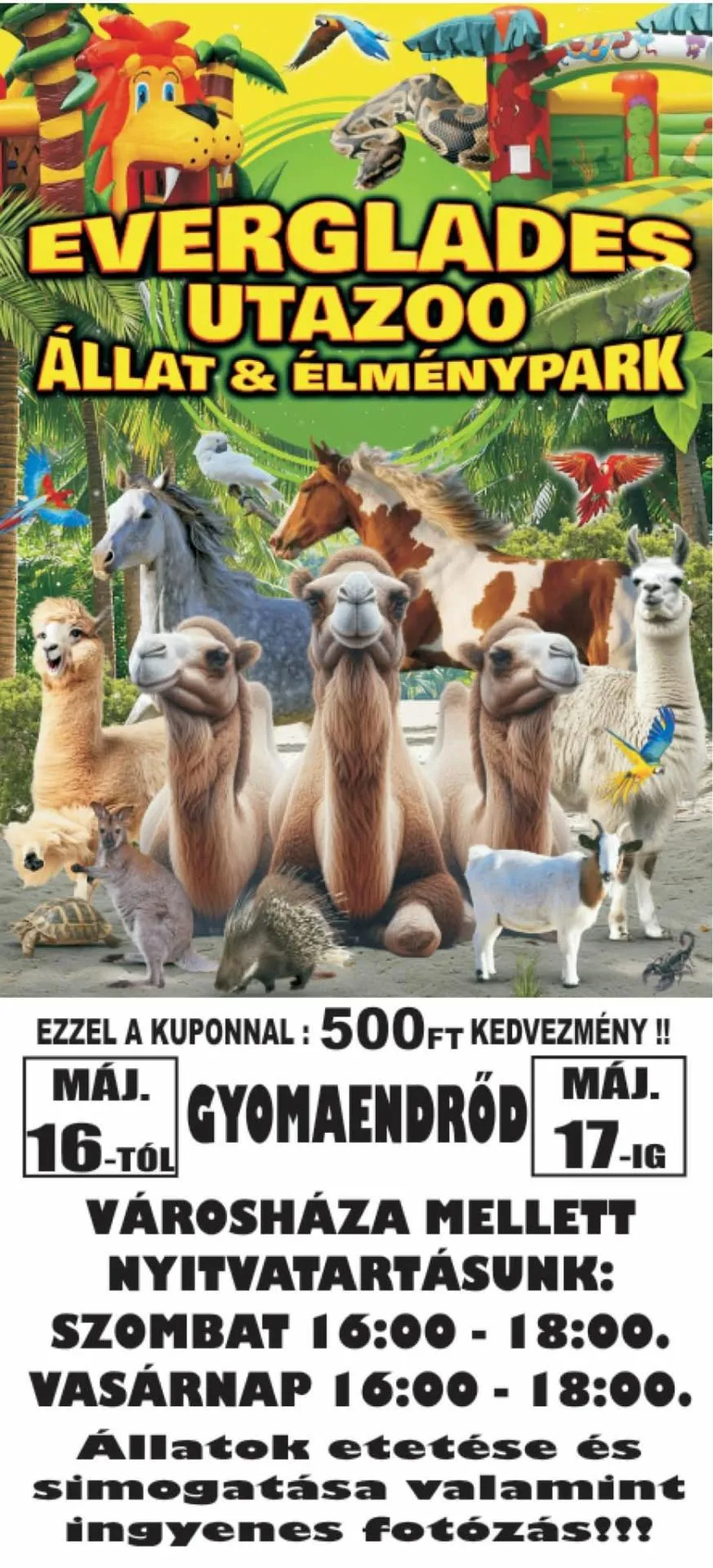 Everglades utaZoo állat és élménypark