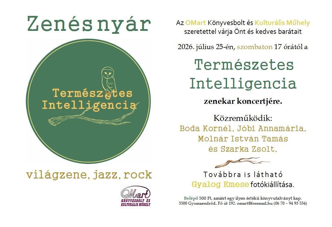 Zenés nyár - A Természetes Intelligencia zenekar koncertje
