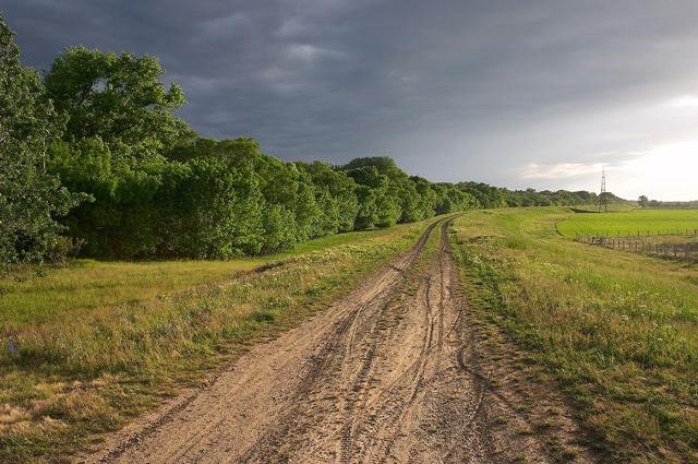 Gyomaendrod.com available in English