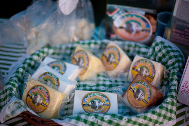 XII. Gyomaendrődi Nemzetközi Sajt-és Túrófesztivál