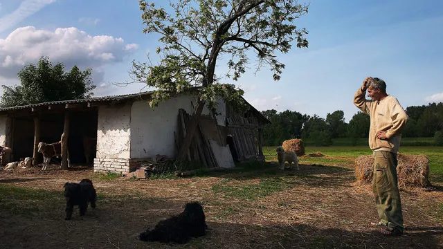 A Day at the Farm