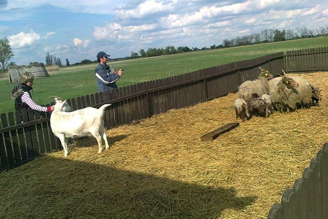 Túzoklesen a gyomai kollégisták