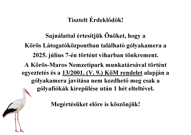 A gólyakamera technikai okok miatt átmenetileg nem üzemel
