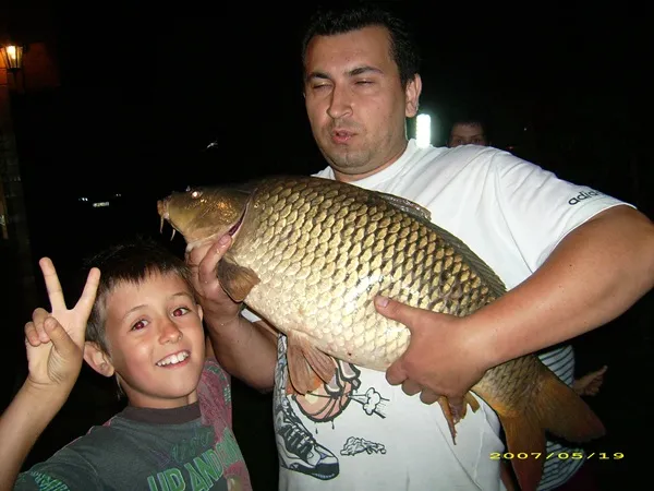 Ponty (10.25 kg) - Bónom-zugi holtág