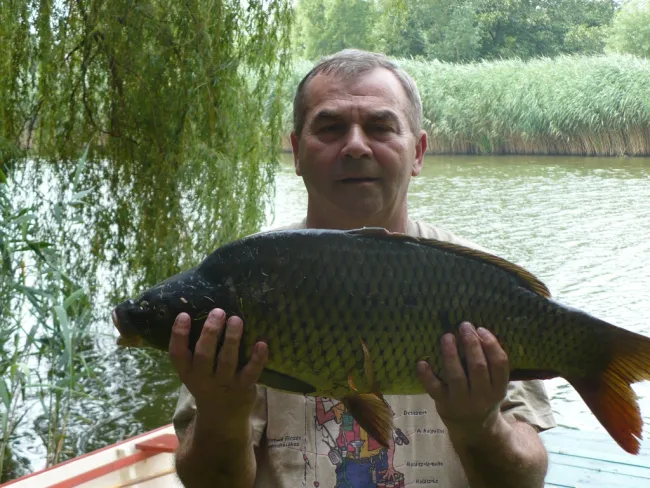 Ponty (6.5 kg) - Templom-zugi holtág