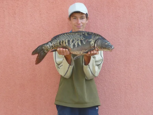 Ponty (4.25 kg) - Németh-zugi holtág