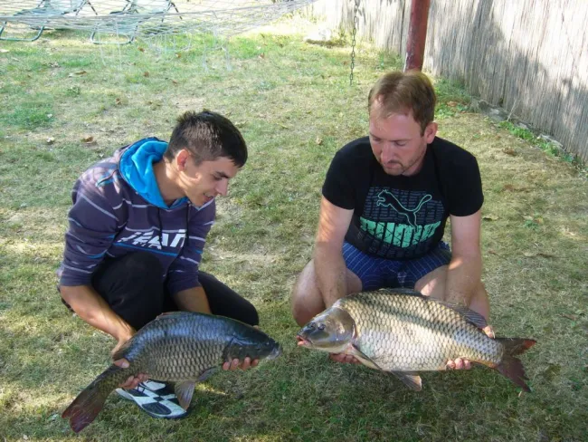 Ponty (5.2 kg) - Hantoskerti holtág