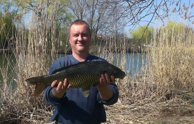 Ponty (4.4 kg) - Danzugi holtág
