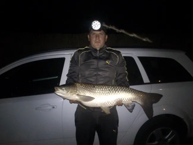 Amur (8.09 kg) - Sirató holtág