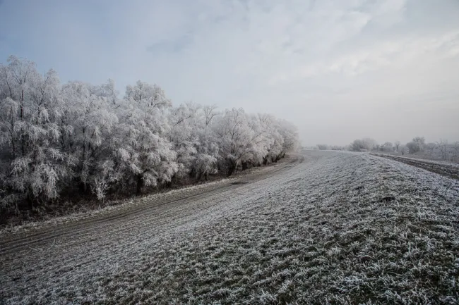 Gyomaendrődi tájképek