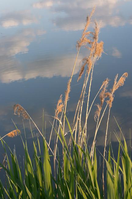 Gyomaendrődi tájképek