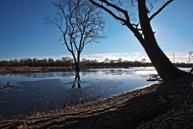 Gyomaendrődi tájképek