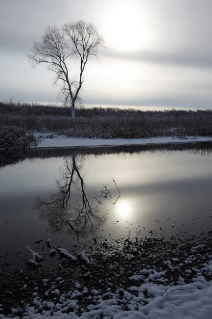 Gyomaendrődi tájképek