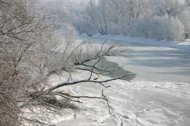 Gyomaendrődi tájképek