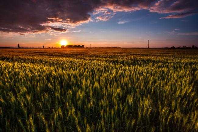 Gyomaendrődi tájképek