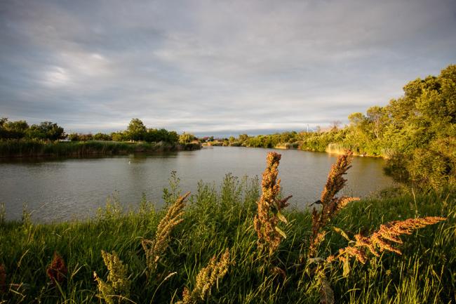 Gyomaendrődi tájképek