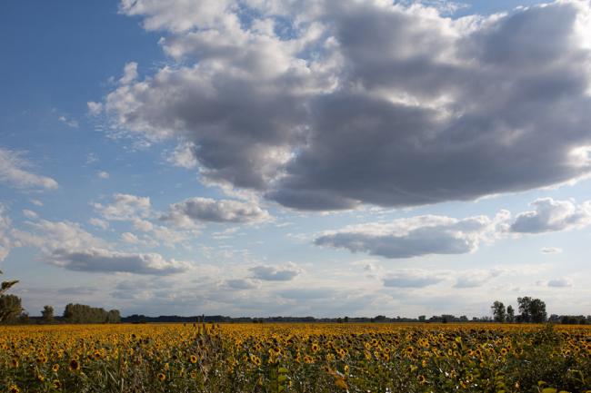 Gyomaendrődi tájképek