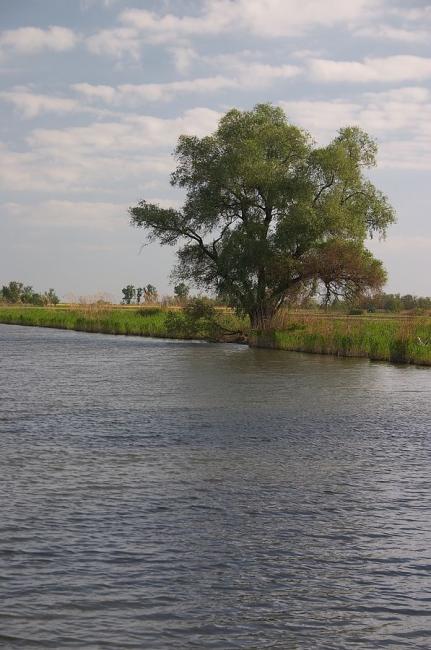 Gyomaendrődi tájképek
