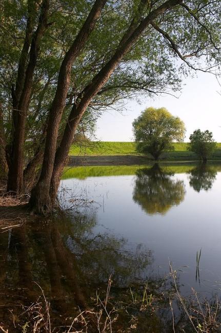 Gyomaendrődi tájképek