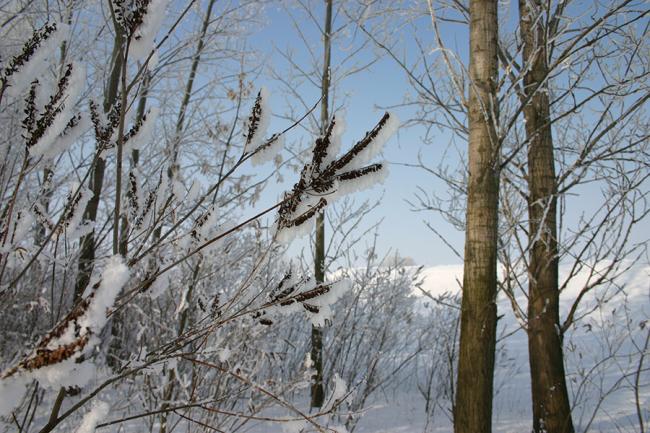 Gyomaendrődi tájképek