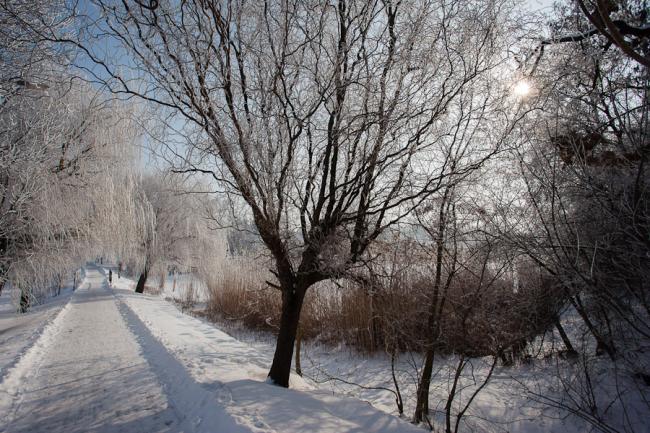 Gyomaendrődi látképek