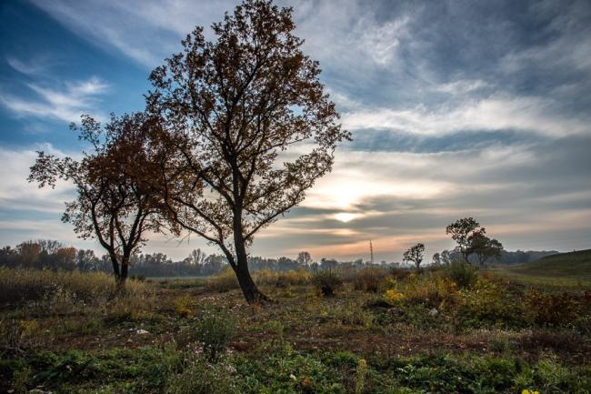 Gyomaendrődi tájképek