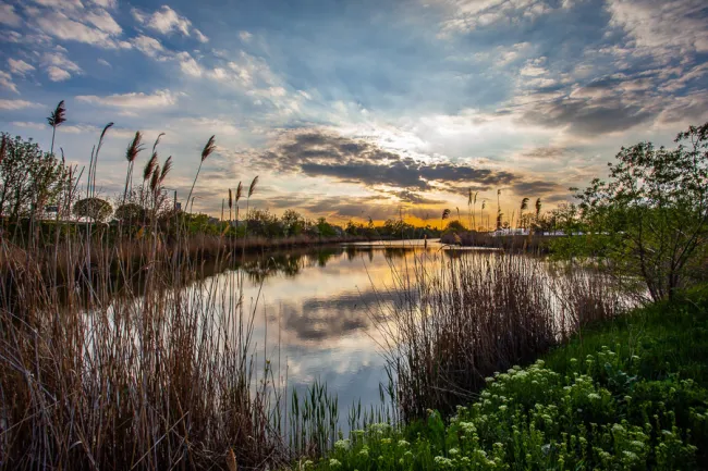 Körös-Maros Nemzeti Park