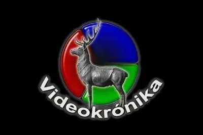Videokrónika